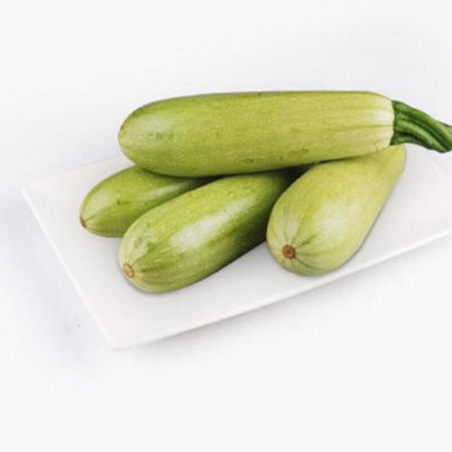 品味山東當(dāng)季鮮蔬 新鮮西葫蘆，農(nóng)家自種的自然饋贈(zèng)