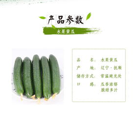 蘇子富春水果黃瓜——夏季綠色農(nóng)家小黃瓜，新鮮現(xiàn)摘的東北特產(chǎn)｜嘗鮮正當(dāng)時(shí)！